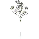 630728-6.webp
