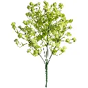 630729绿色.webp