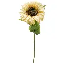 630733淡黄.webp