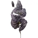 630746-1.webp