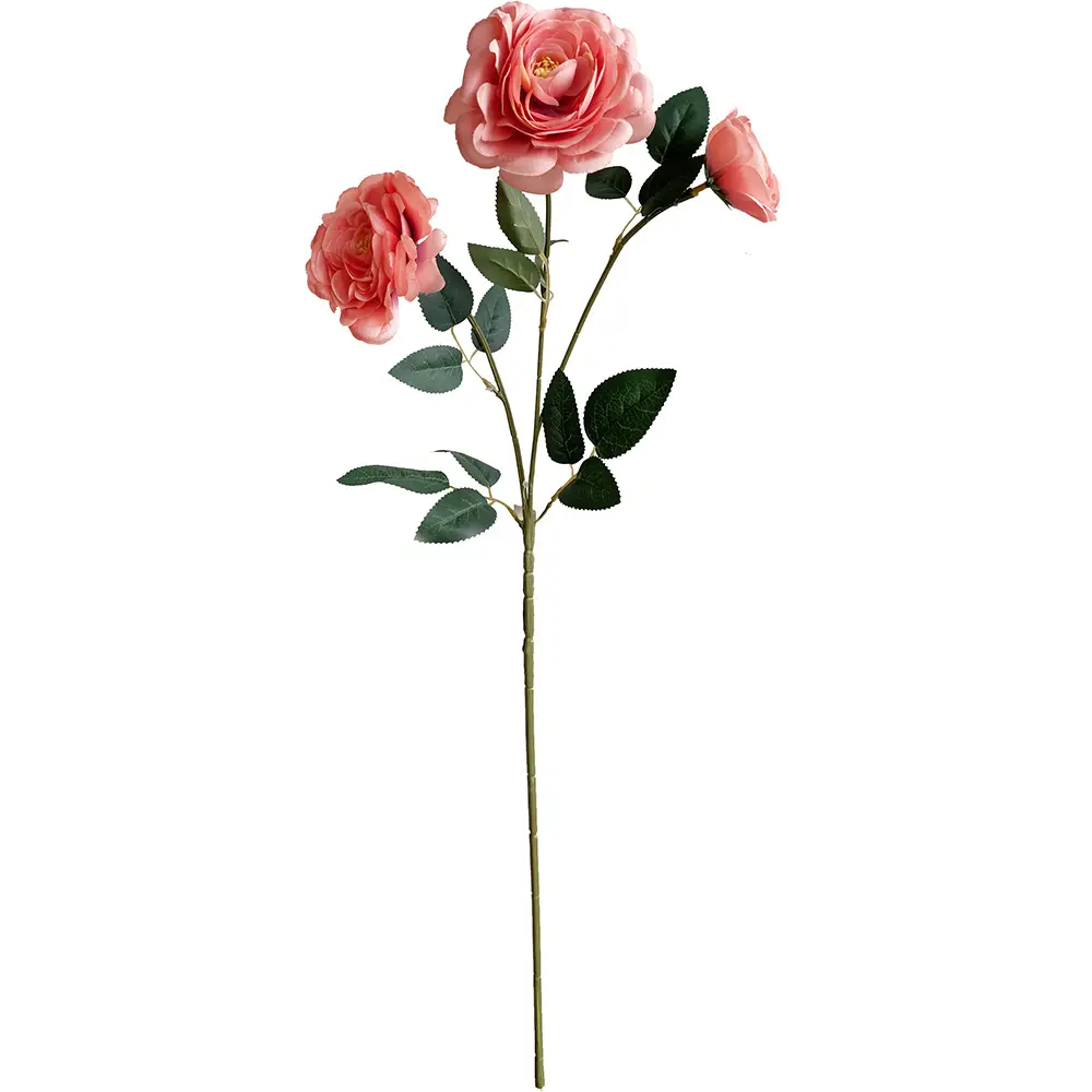 630773-3白.webp