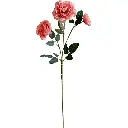 630773-3白.webp
