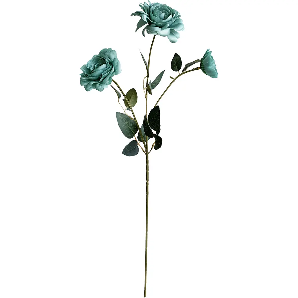630773-白.webp