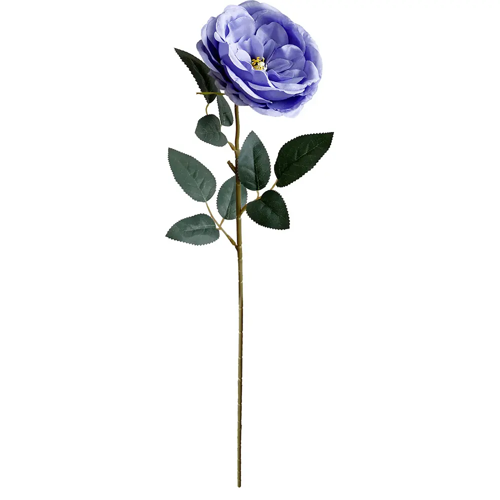 630774-4白.webp