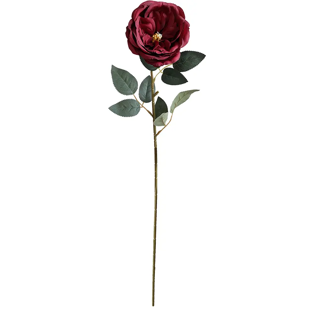 630774-3白.webp