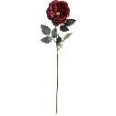 630774-3白.webp