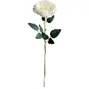 630774白.webp