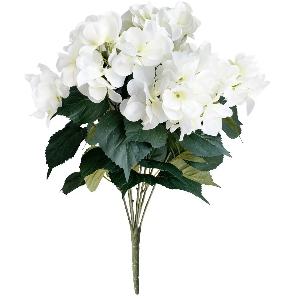 630809-COM1.webp