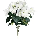 630809-COM1.webp