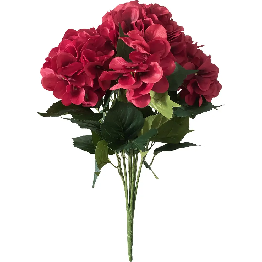 630809-BU01.webp