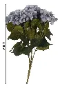 630813蓝色.webp