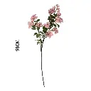 630869紫色.webp