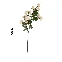 630869白色.webp