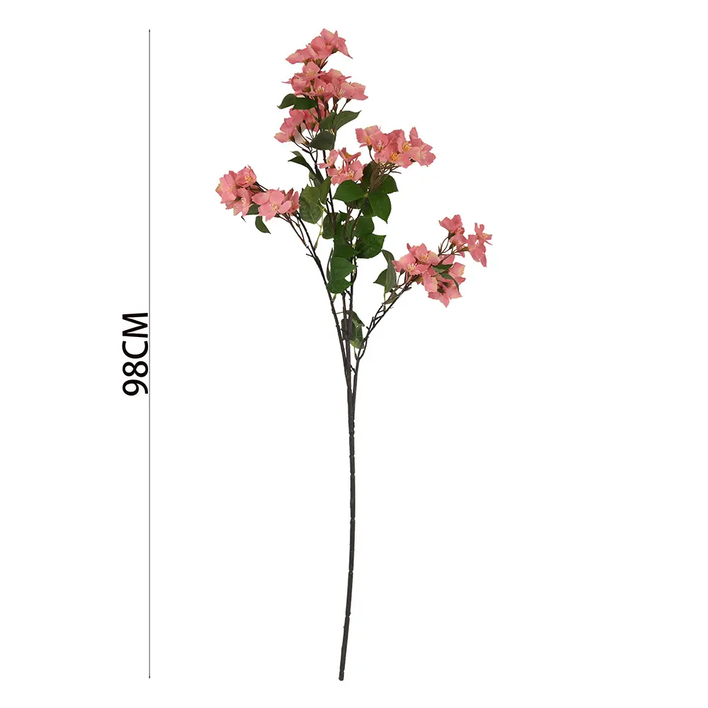 630869深粉.webp