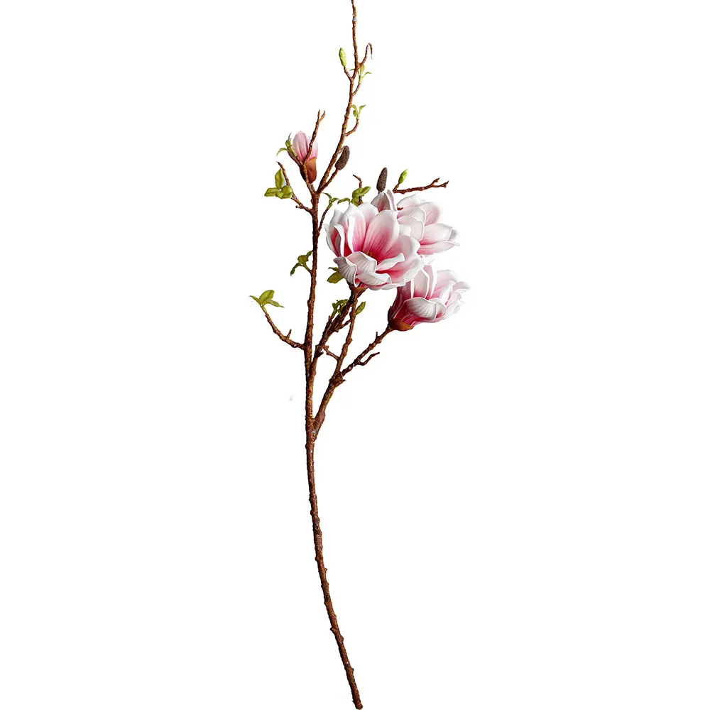 630874白.webp