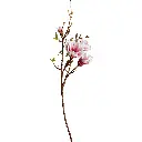 630874白.webp