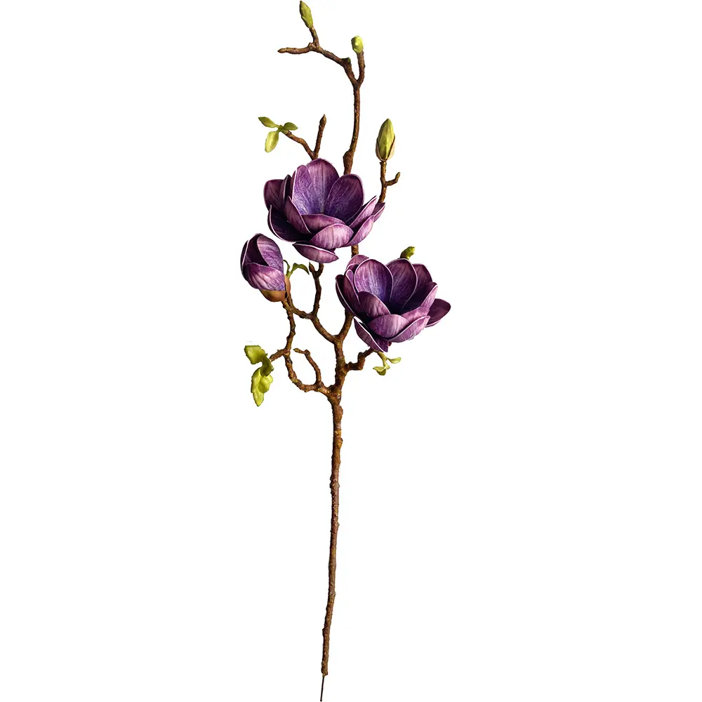 630875-2白.webp