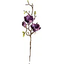 630875-2白.webp