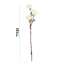 630878BLANCO.webp