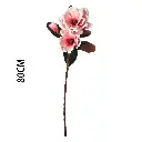 630880-3.webp