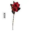 630880-2.webp