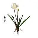 630881-1.webp