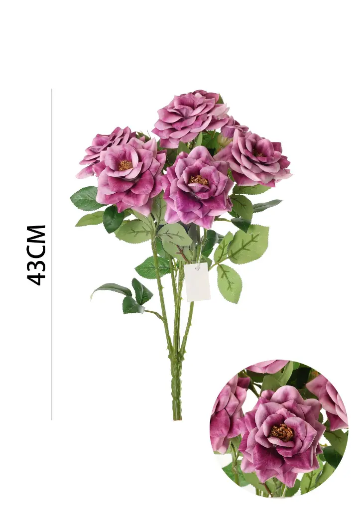 630885-紫芋.webp