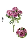 630885-紫芋.webp