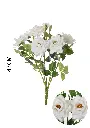 630885-白.webp