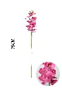630886-深粉.webp