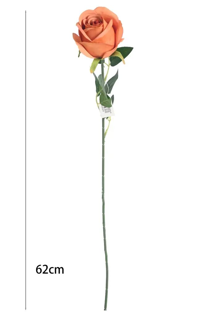 630890橘色.webp