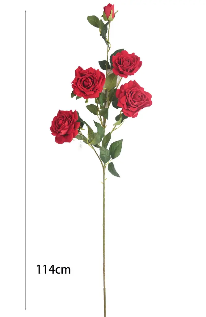 630891红色.webp
