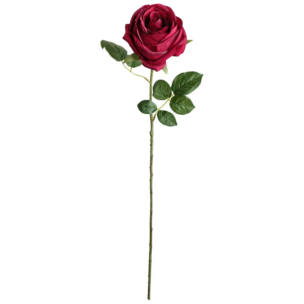 630893大红.webp