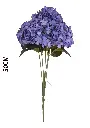 630943紫色.webp