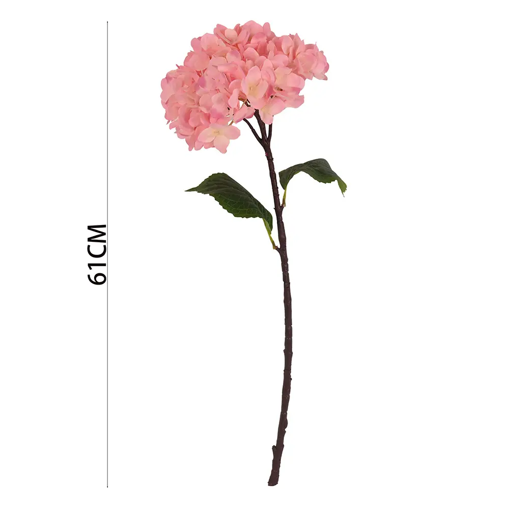 630944粉色.webp