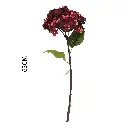 630946红色.webp