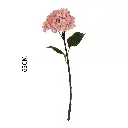 630946粉色.webp