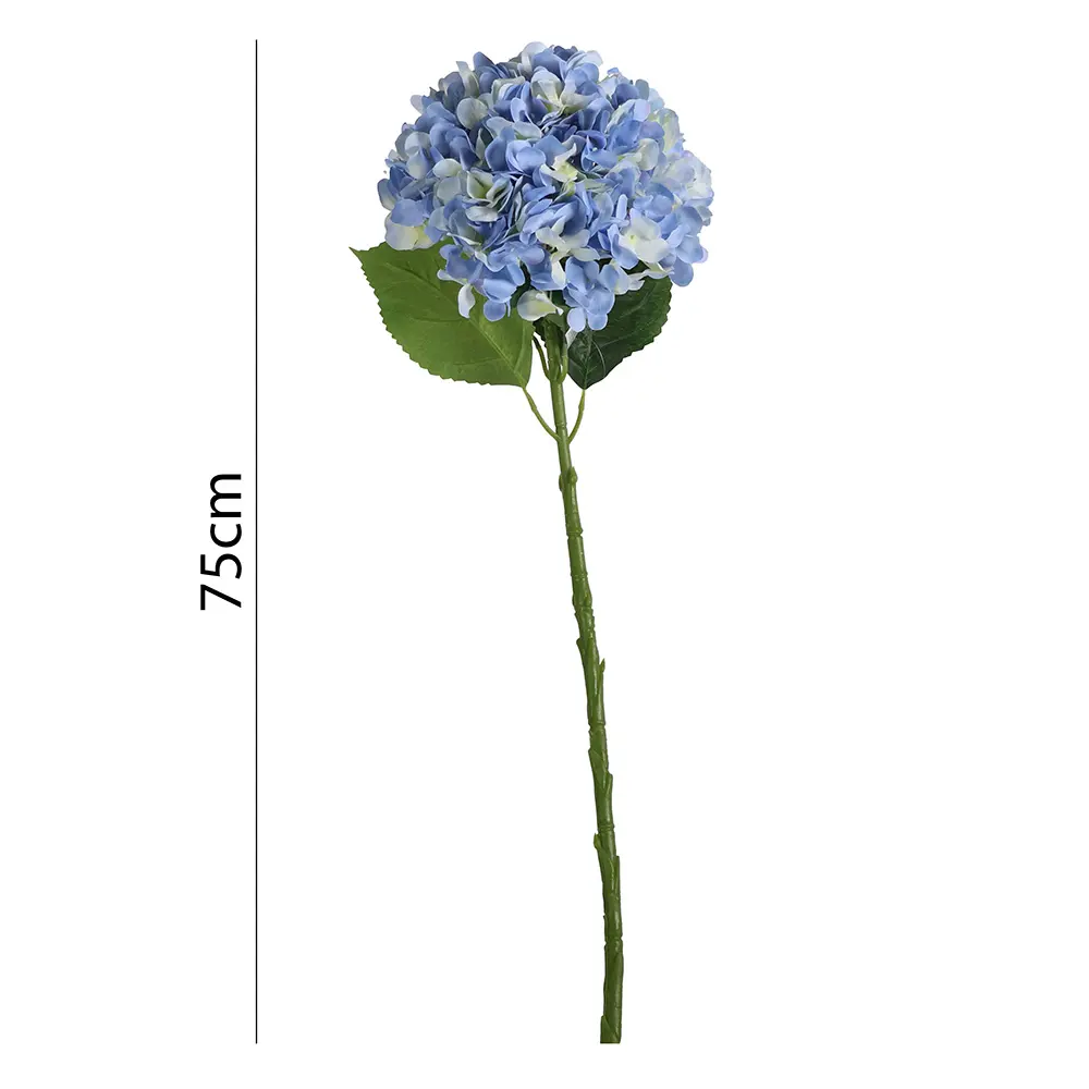 630951-2.webp