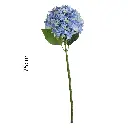 630951-2.webp