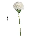 630951-1.webp