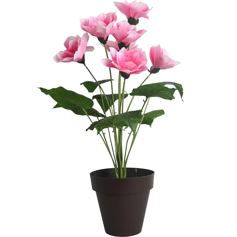 630955粉.webp