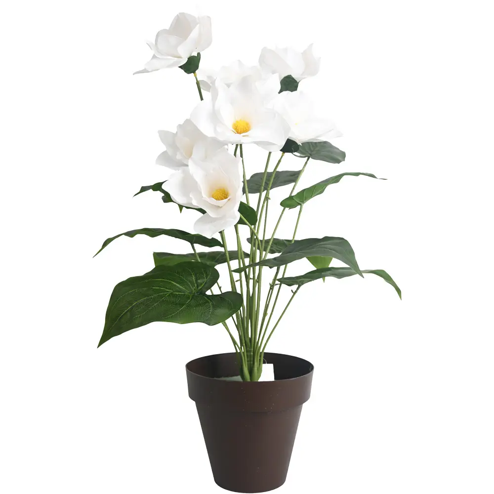 630955白色.webp