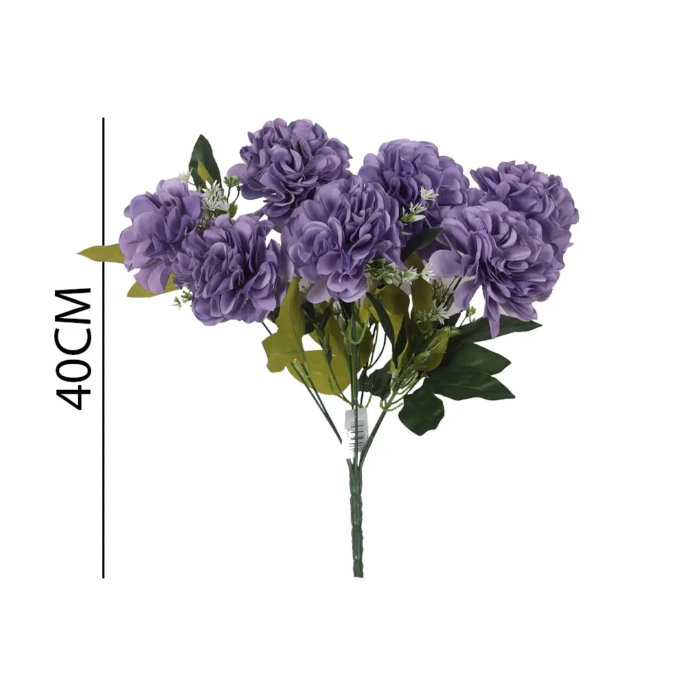630969MORADO.webp