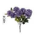 630969MORADO.webp