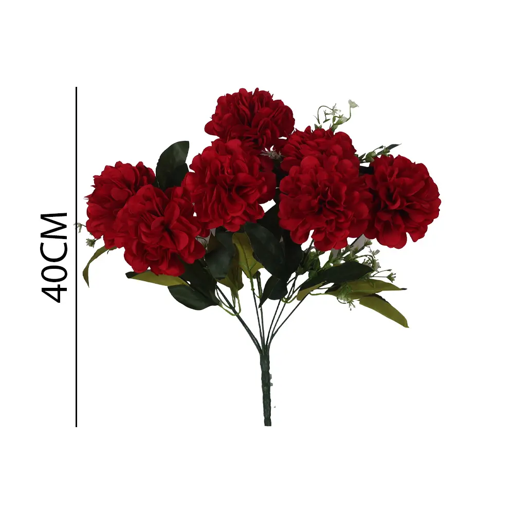 630969ROJO.webp