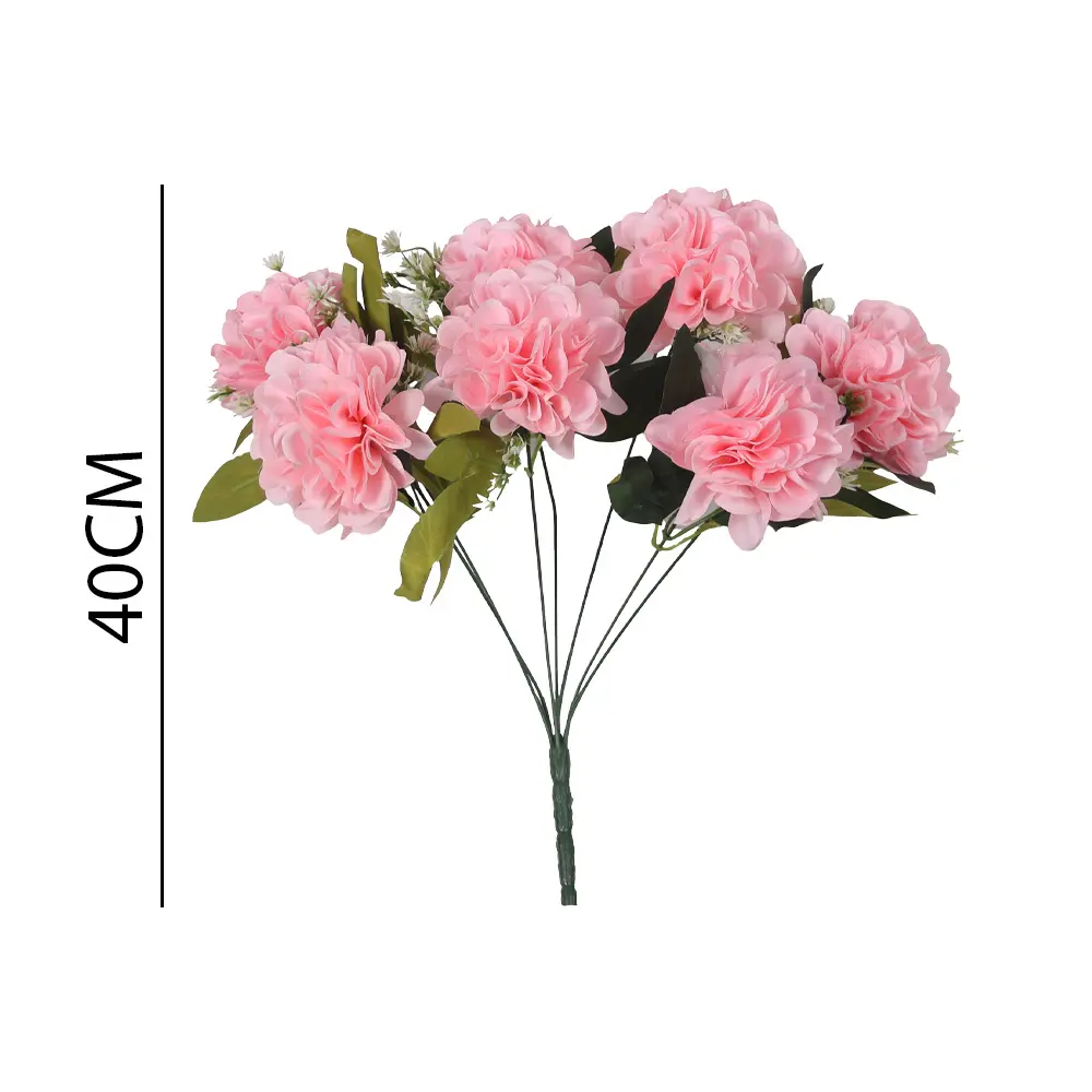 630969ROSA.webp