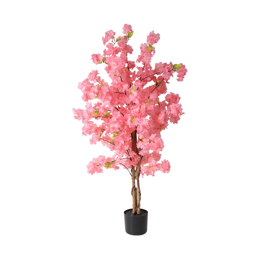 631448ROSA-2.webp