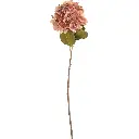 630986粉紫.webp