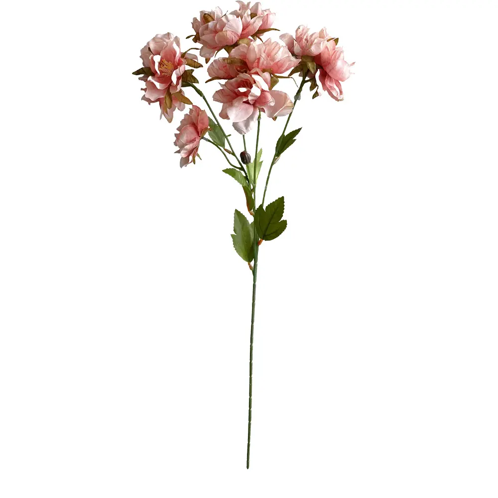 630990粉.webp