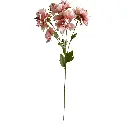 630990粉.webp